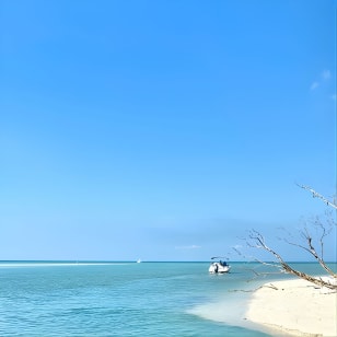 Tour privato in tiki boat di mezza giornata da Fort Myers