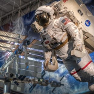 Houston: Guided City Tour + NASA Space Center Entry + Transfers