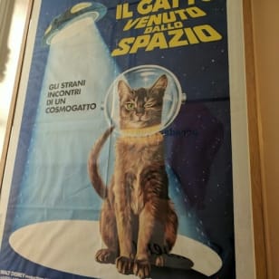 Het Kattenkabinet: Toegangsticket