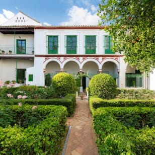 Bucarelli Palace: Home
