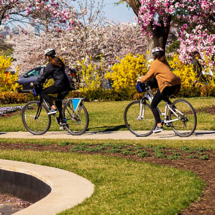 Washington DC: Monumente und Gedenkstätten Fahrradtour