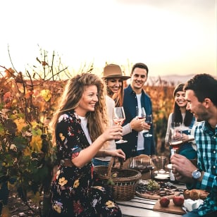 Napa und Sonoma Weinlandetagesausflug von San Francisco