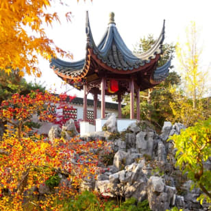 Jardín Chino Clásico Dr. Sun Yat-Sen
