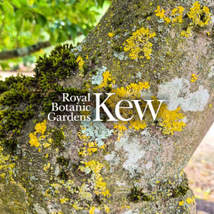 Lichen Tours at The Royal Botanic Gardens, Kew