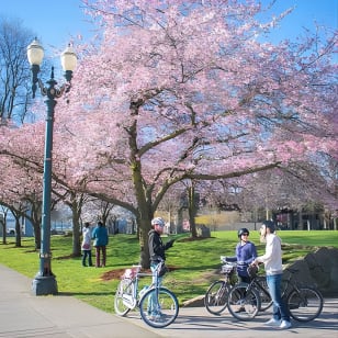 ¡Tour imprescindible en bicicleta y bicicleta eléctrica por Portland, Oregón!