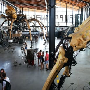 Tickets for the Halle de la Machine