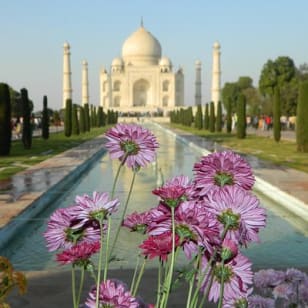 2 jours de visite privée à Agra depuis Delhi