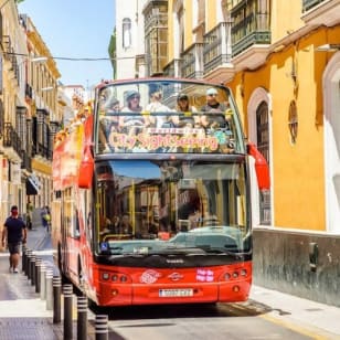 Seville: CitySightseeing Hop-on Hop-off Bus, Museum of Flamenco + Bicycle Rental