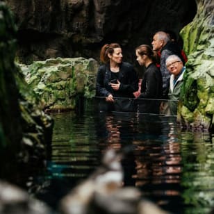 Oceanário de Lisboa: tour guiado
