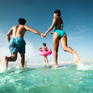 Kissimmee: Clearwater Beach Bus Express