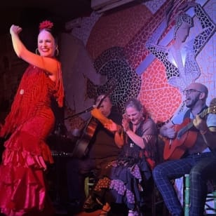 Tableauo Flamenco El Toro et la Lune Spectacle & Dîner & Boisson