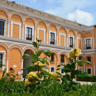 Royal Alcazar of Seville: Entrance