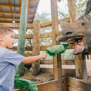 ZooTampa au Lowry Park Billet d'admission