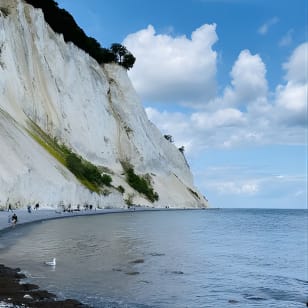 Møns klint e The Forest tower - Un tour di un giorno da Copenhagen