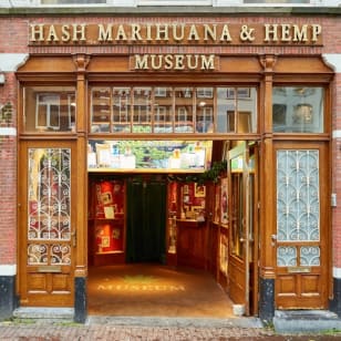 Hash Marihuana & Hemp Museum: biglietto d'ingresso + guida audio