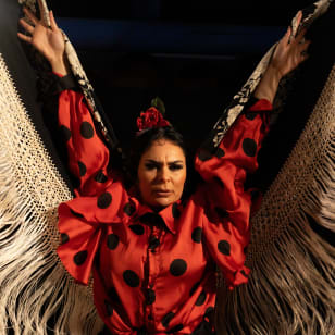 Authentic Flamenco at El Gallo Ronco