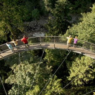 Parque Grouse Mountain & Capilano Suspension Bridge: Visita guiada