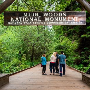 Muir Woods & Sausalito: Morgen-Tour ab San Francisco