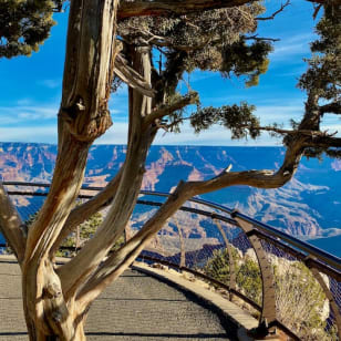 Parque Nacional del Gran Cañón: Excursión de un día desde Las Vegas con almuerzo
