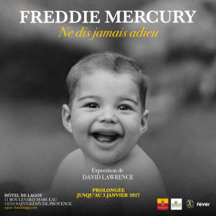 Freddie Mercury, Never Say Goodbye