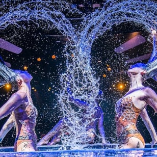 Las Vegas: WOW - El Espectacular Show de Las Vegas