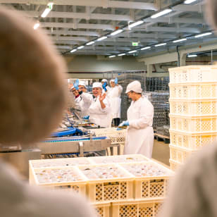 Conservas Pinhais Factory Tour: Geführte Experience auf Englisch
