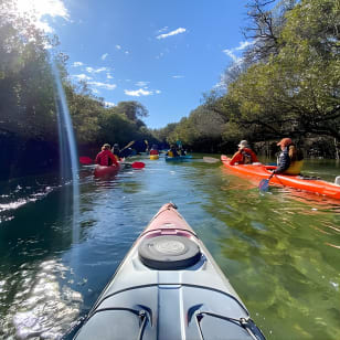 Excursión en kayak al Santuario de Delfines y Cementerio de Barcos de Adelaida