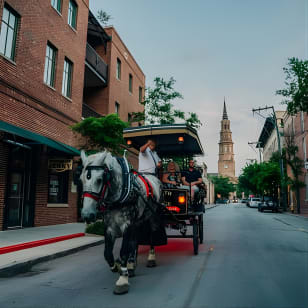 Tour in carrozza di Charleston