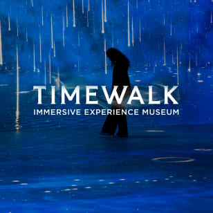 Timewalk Immersive Experience Museum -Walk Through 12,000 Years of Human History