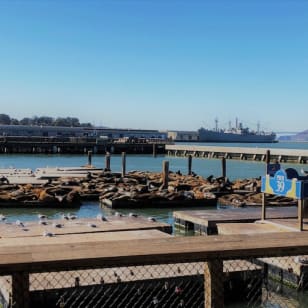 Tour a piedi del Fisherman's Wharf