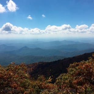 Escursione sul Bartram Trail più degustazione di vini