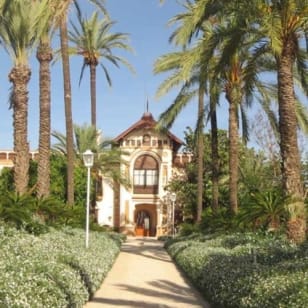 Ribera Vegetable Garden: Guided Tour of an Orange Grove from Valencia + Food Tasting