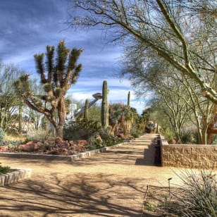 Springs Preserve & Nevada State Museum