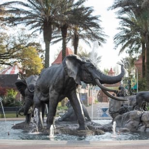 Audubon Zoo: Eintrittskarte