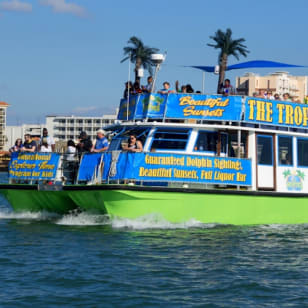 Clearwater: Crucero de Exploración de Delfines Guiado