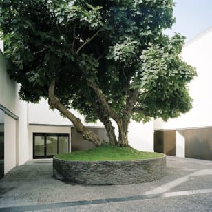 Picasso Museum Malaga: Guided Tour