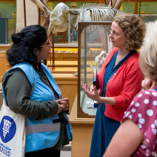 Curiosity & Colonialism - Visita guiada al museo por Uncomfortable Oxford™