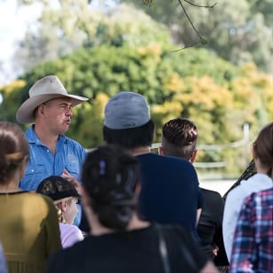 Visita a una granja de camellos y degustación