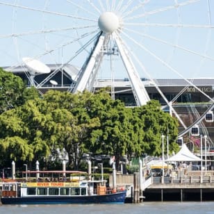 Crociere sul fiume Brisbane alle 12.30