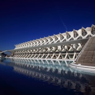 Musée des sciences Valencia : entrée sans file d'attente