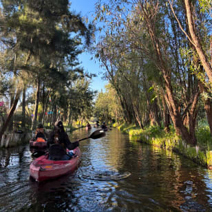 Experiencias Xochimilco - Amanecer en kayak