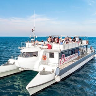 Valence : Balade en catamaran dans la marina