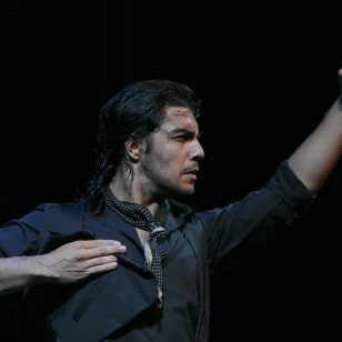 Tablao Flamenco La Setas Seville: Flamenco Show