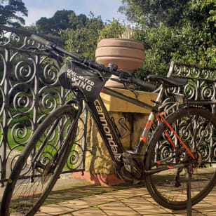 Alquiler de bicicletas eléctricas en Santa Mónica