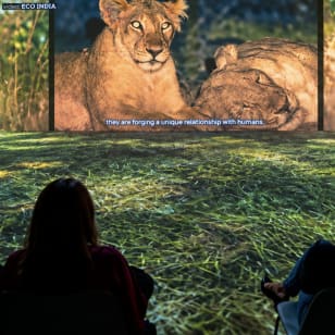 ‘Before We Disappear’, mostra documentaria digitale di Poliforma