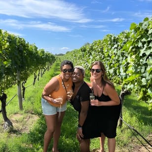 Tour di un giorno con degustazione di vino e cibo da New York
