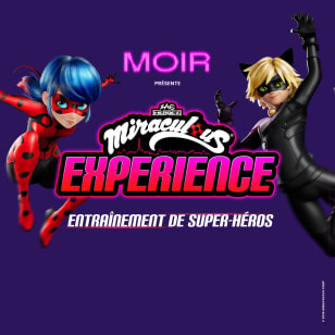 Miraculous Experience: Superhero Training