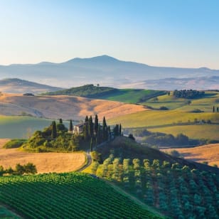 Pienza and Montepulciano: Full-day wine tour from Florence