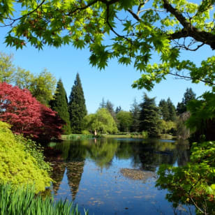 Jardín Botánico VanDusen: Un oasis verde en el centro de la ciudad