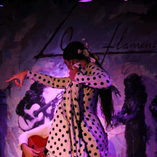Tablao Opera Flamenca